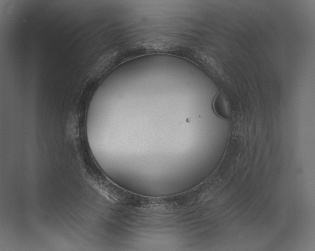 X0000073900738200608251457