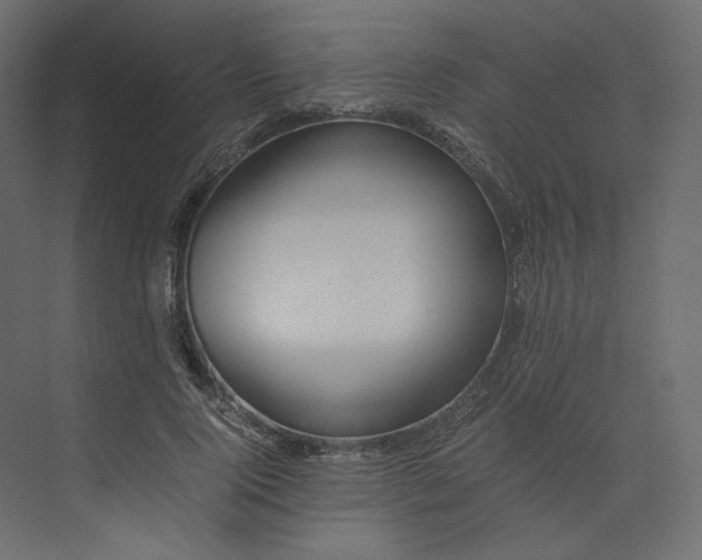 X0000073900740200608251457