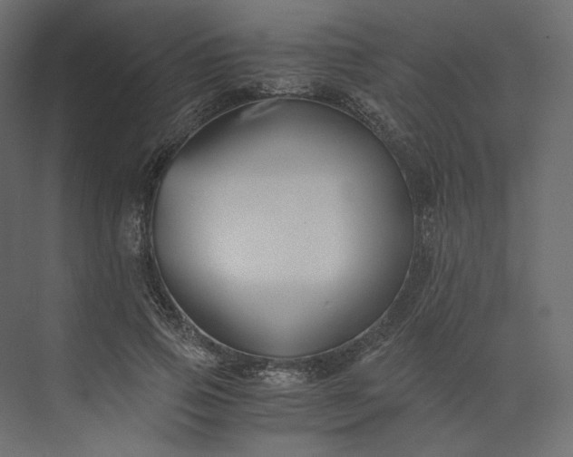 X0000073900741200608251457