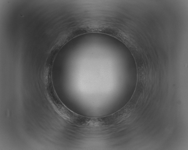 X0000073900742200608251457