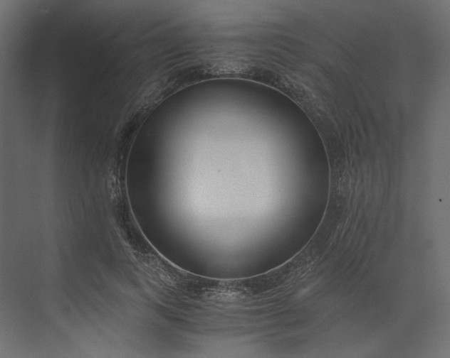 X0000073900743200608251457