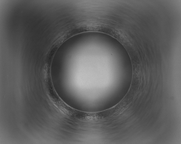 X0000073900744200608251457