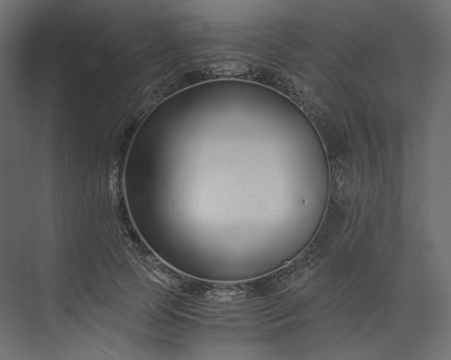 X0000073900745200608251457