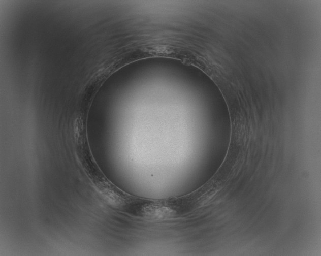 X0000073900747200608251457