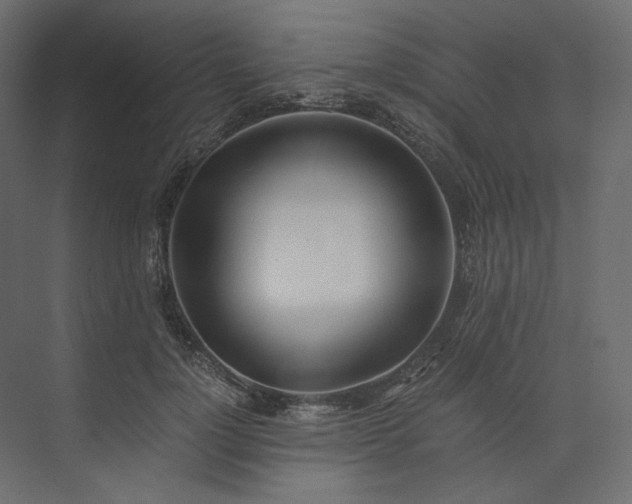 X0000073900748200608251457