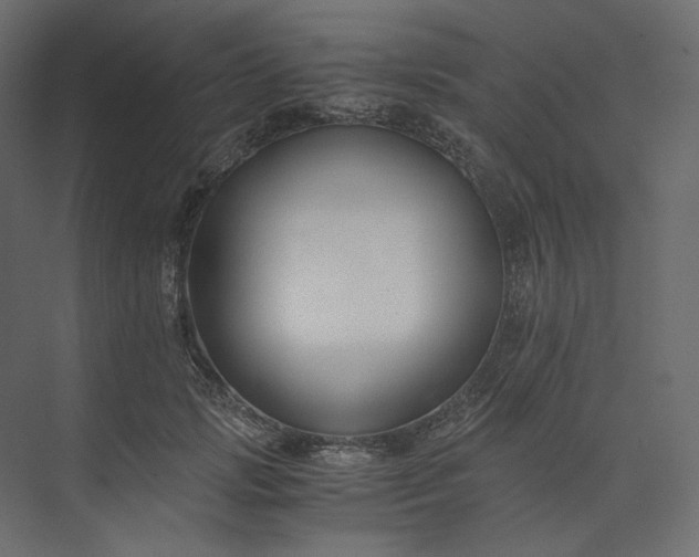 X0000073900749200608251457