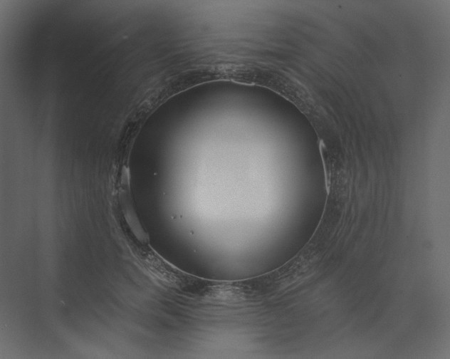 X0000073900750200608251457