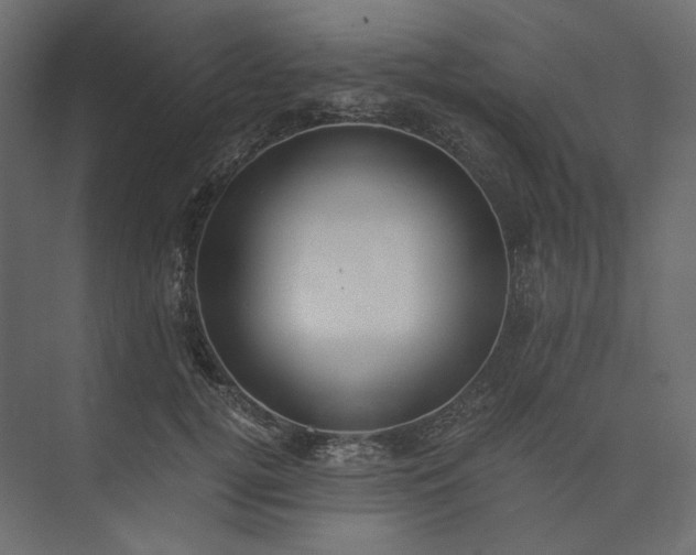 X0000073900752200608251457