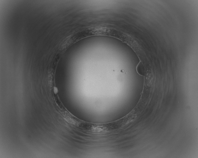 X0000073900753200608251457