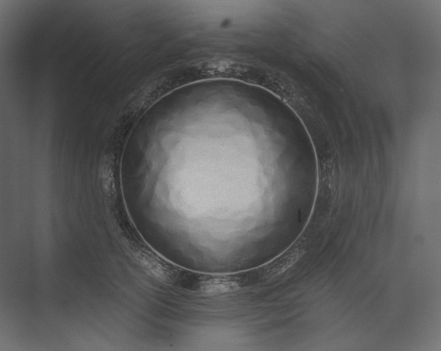 X0000073900754200608251457