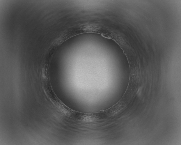 X0000073900755200608251457