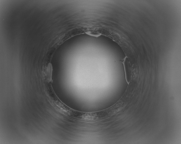 X0000073900756200608251457