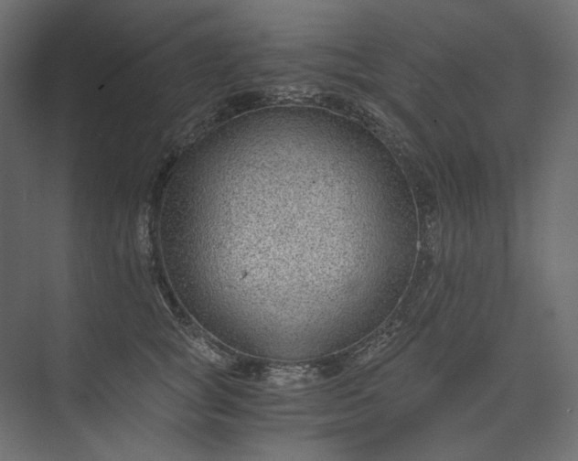 X0000073900757200608251457