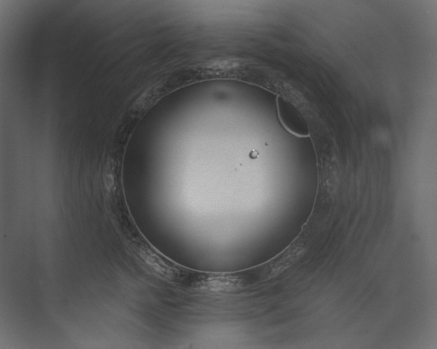 X0000073900758200608251457