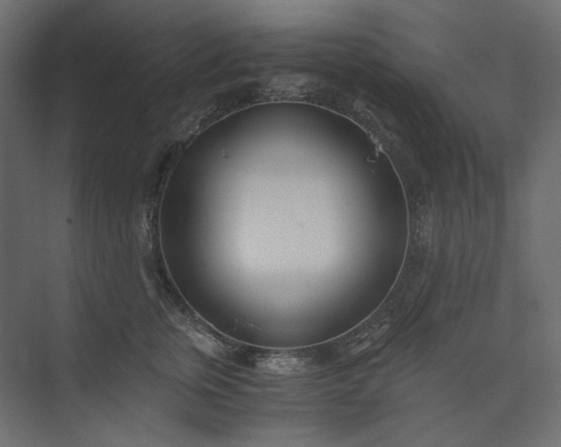 X0000073900759200608251457