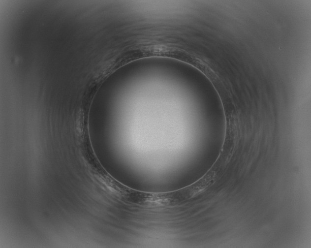 X0000073900760200608251457