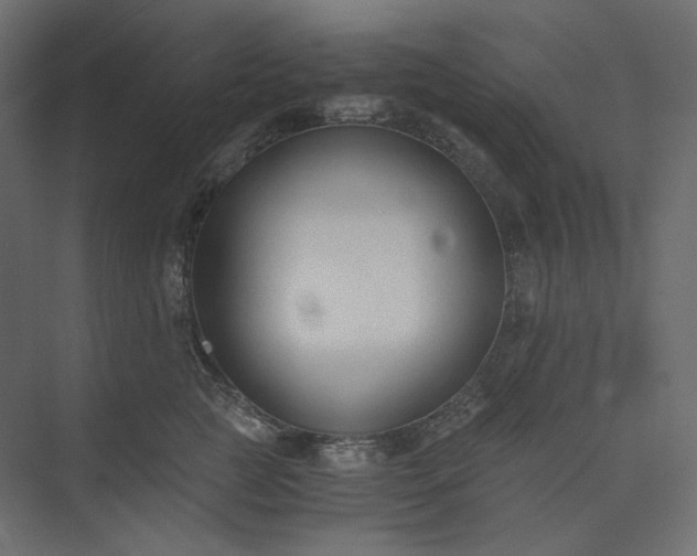 X0000073900761200608251457