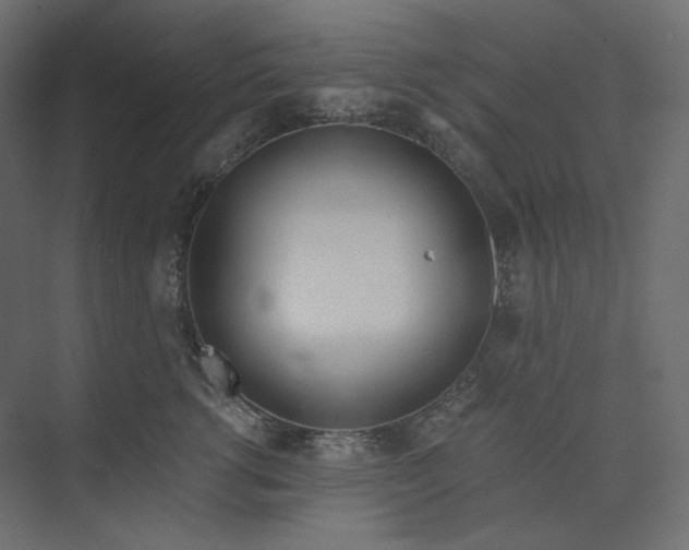 X0000073900762200608251457