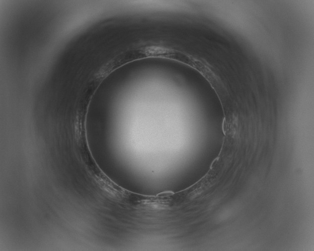 X0000073900763200608251457