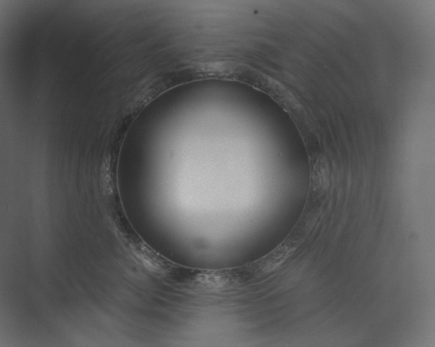 X0000073900764200608251457