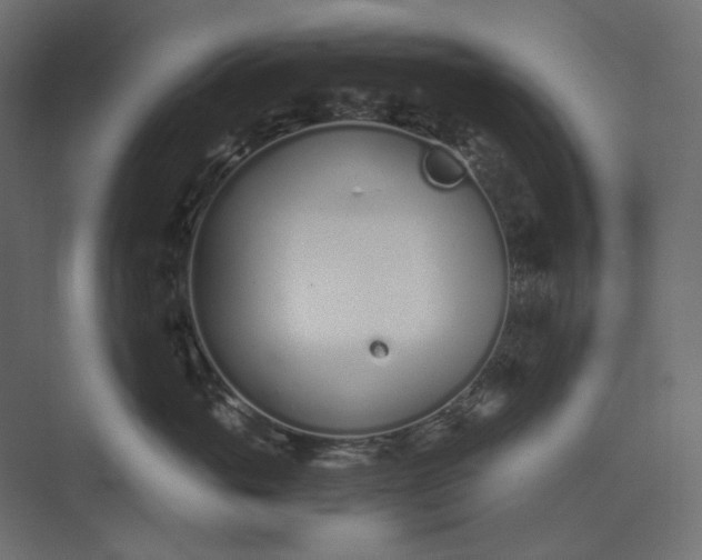 X0000073900765200608251457