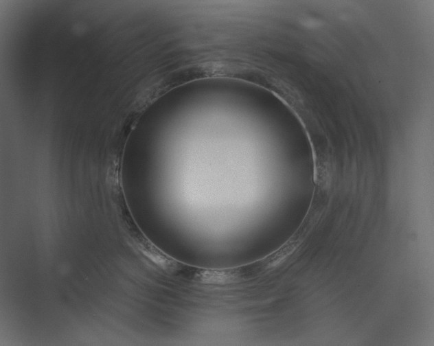 X0000073900766200608251457