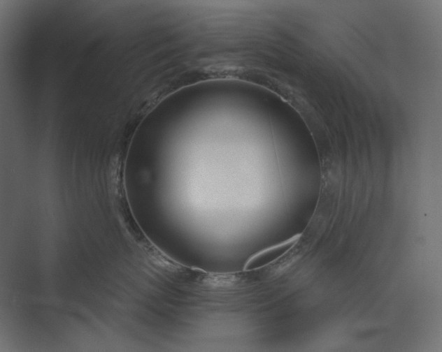 X0000073900767200608251457