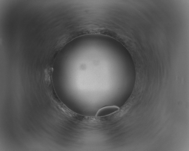 X0000073900768200608251457