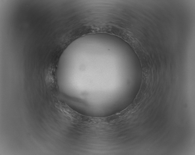 X0000073900770200608251456