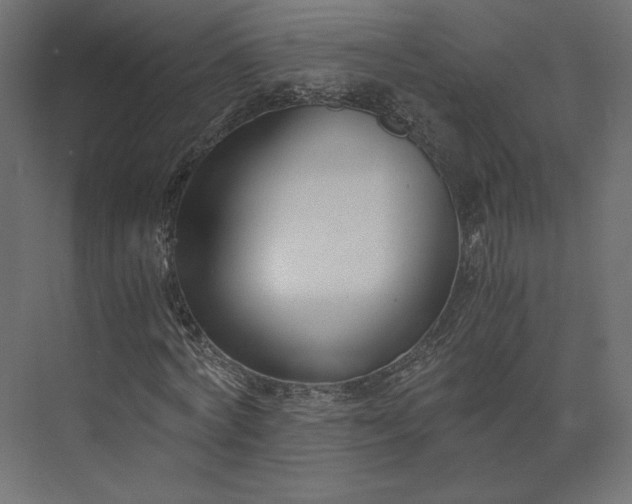 X0000073900772200608251456