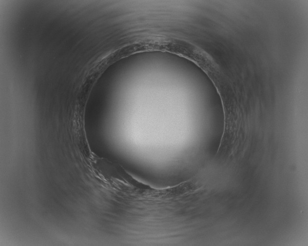 X0000073900773200608251456