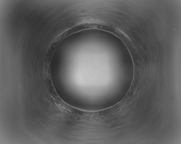 X0000073900775200608251456