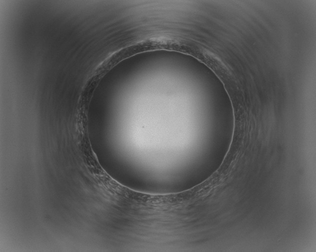 X0000073900776200608251456