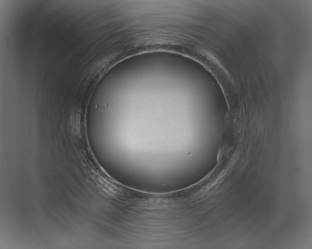 X0000073900777200608251456