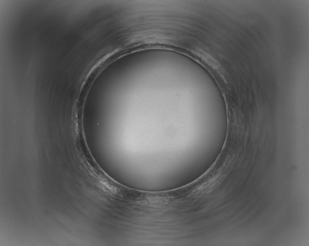 X0000073900782200608251456