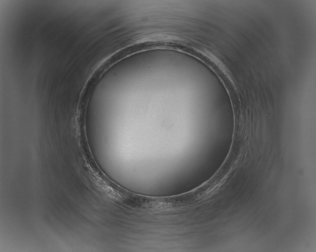 X0000073900783200608251456