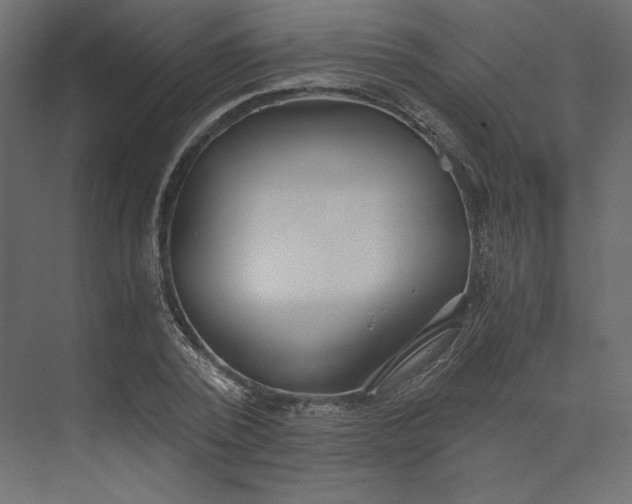 X0000073900784200608251456