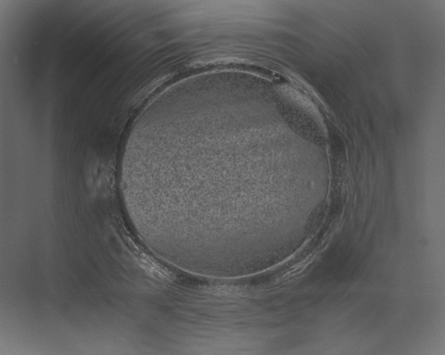 X0000073900785200608251456