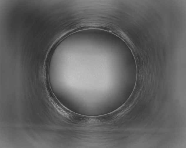 X0000073900787200608251456