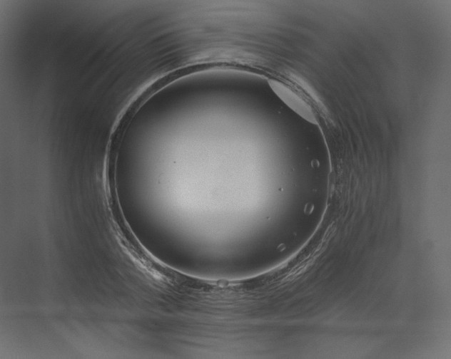 X0000073900788200608251456