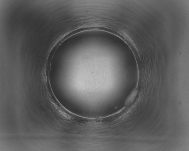 X0000073900789200608251456