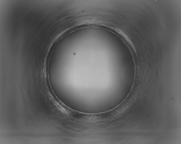 X0000073900791200608251456