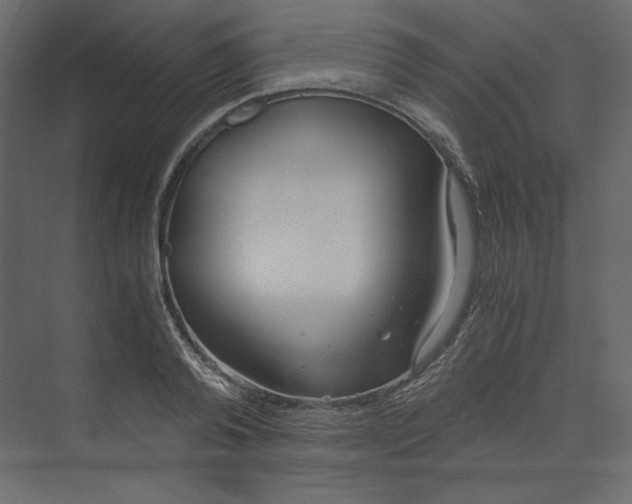 X0000073900792200608251456