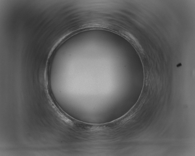 X0000073900796200608251456