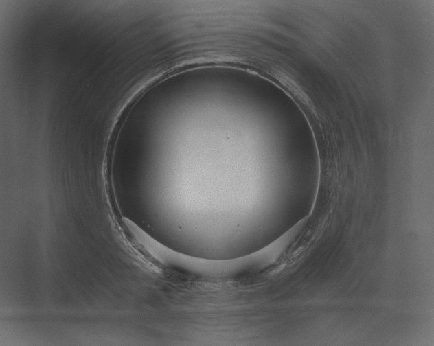 X0000073900797200608251456