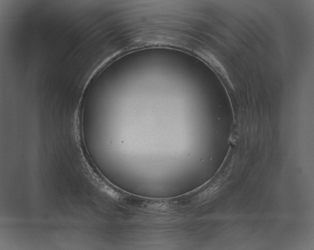 X0000073900798200608251456