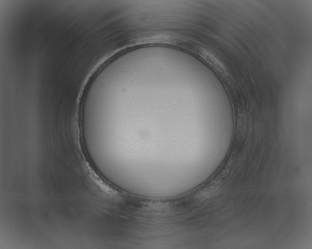 X0000073900800200608251456