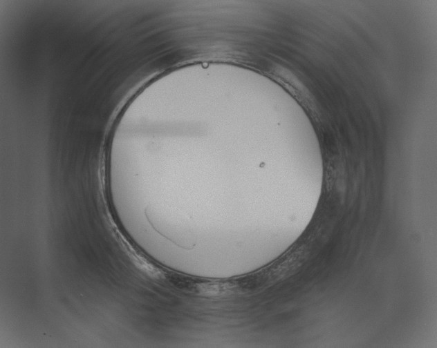 X0000073900804200608251456