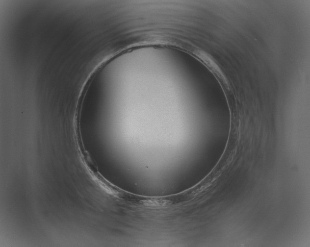 X0000073900805200608251456