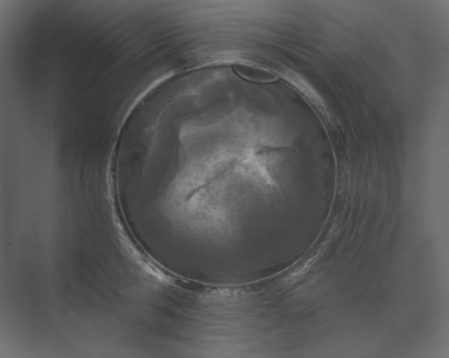 X0000073900806200608251456